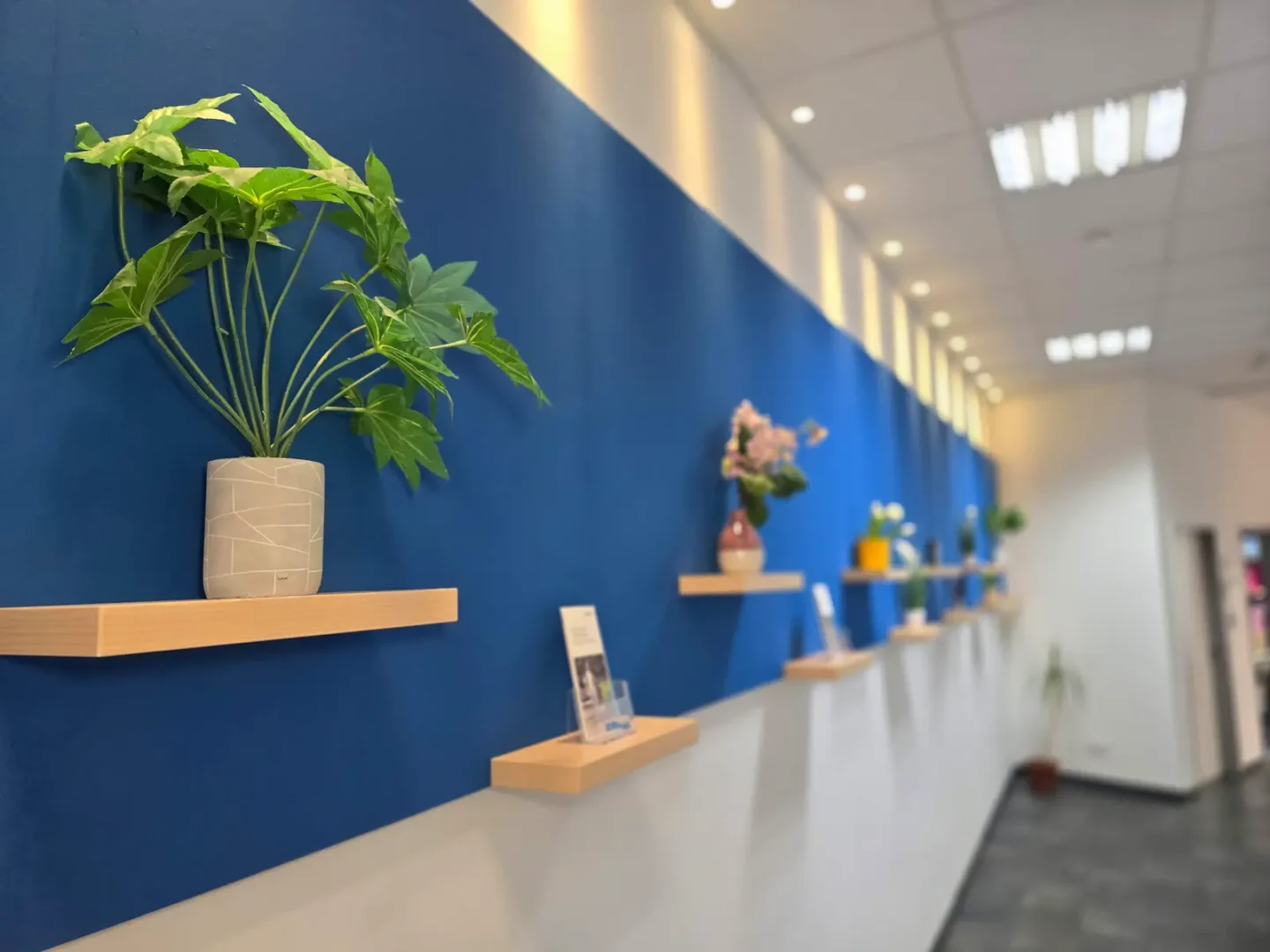 OrthoPoint Nürnberg Regale mit Blumen und Vasen